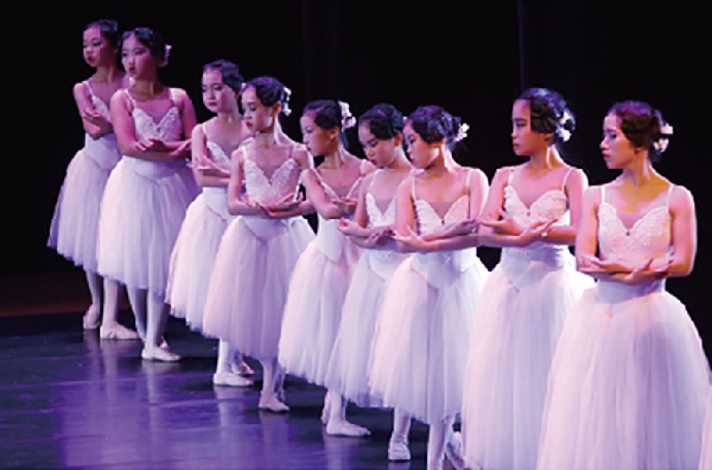 2018年苏菲年末芭蕾汇演《动物狂欢节》&《睡美人》